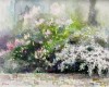 jardinchateauducrest