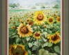 tournesolsc