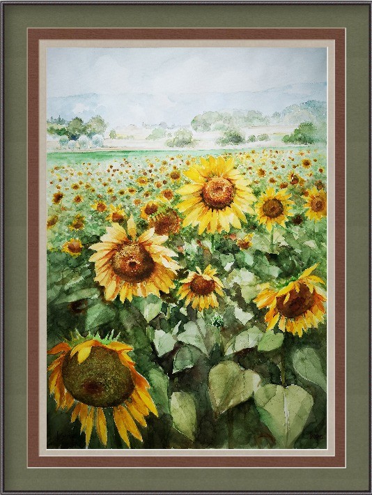 tournesolsc
