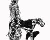 img 6979