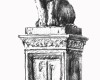 lion4