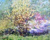 p1010174