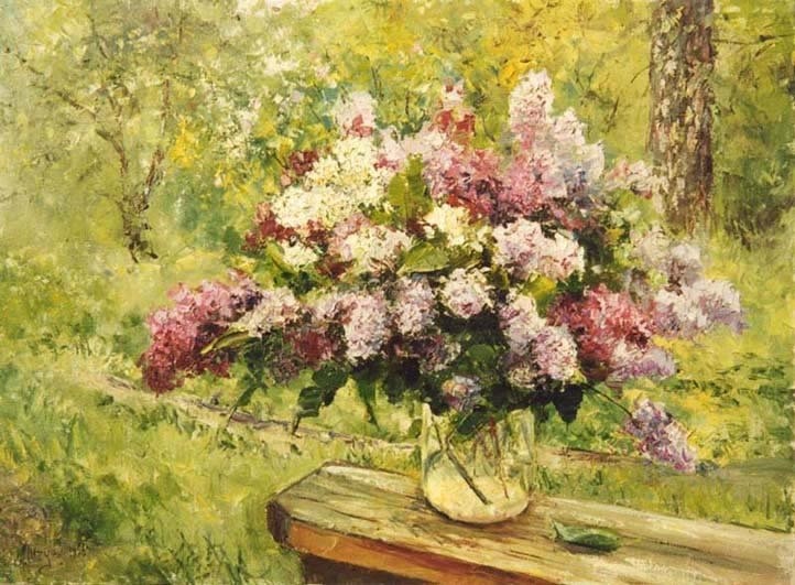 lilas w