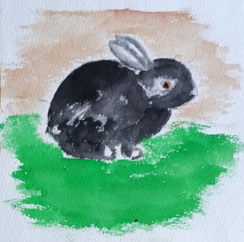 8petitlapin