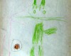 img 3216