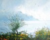 motreux fleurs w