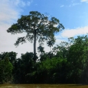 Enfants Amazonie